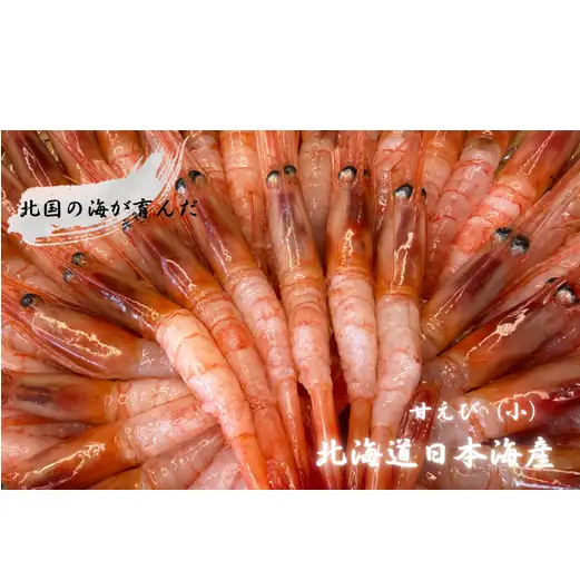 8-012-004　増毛産　獲れたての冷凍甘えび 1kg