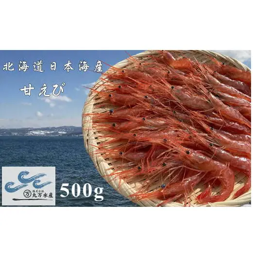 8-011-006　冷凍甘えび 500g（約40尾）