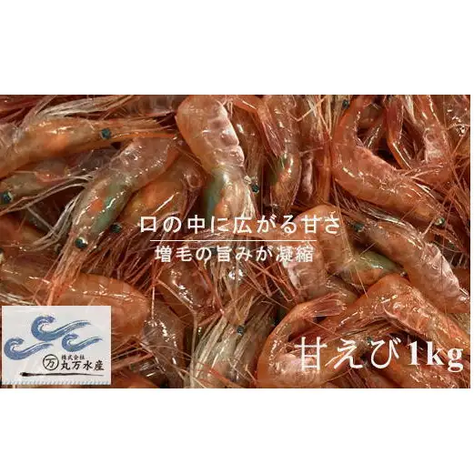 8-020-004　冷凍甘えび 1kg（70尾～90尾）
