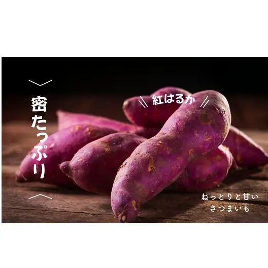 8-005-002　さつまいも（紅はるか）2kg【マルゼン佐藤果樹園】