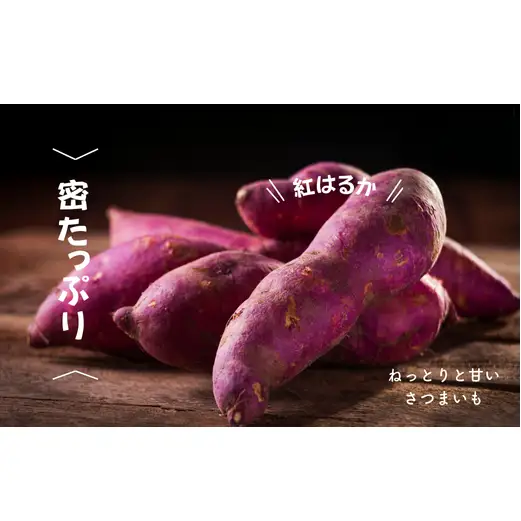 8-010-012　さつまいも（紅はるか）5kg【マルゼン佐藤果樹園】