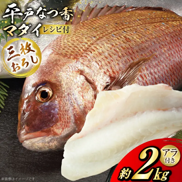 タイ 刺身 平戸なつ香 鯛 丸々 1匹 約2kg 3枚おろし アラ付き セット [坂野水産 長崎県 平戸市 hr42bgy420504]