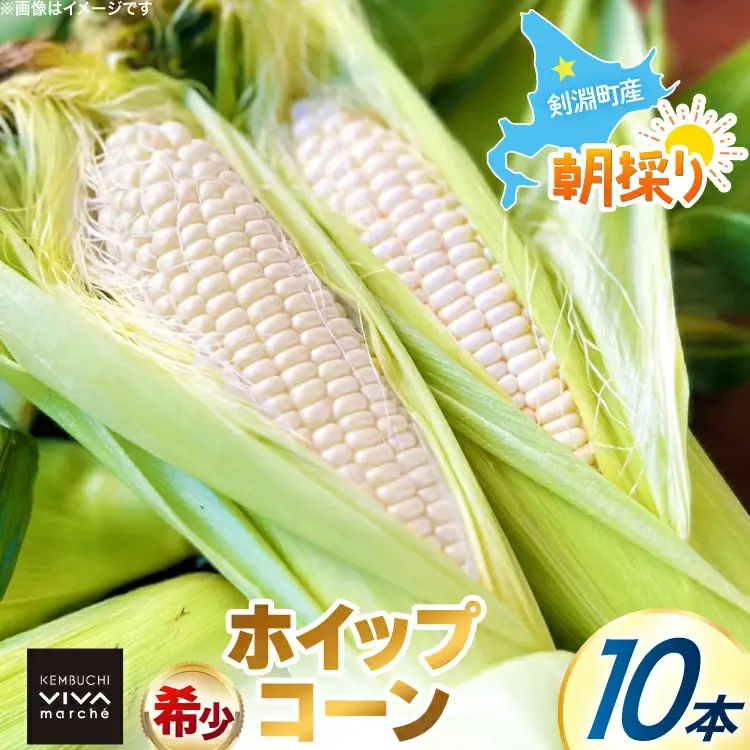 剣淵町産 ホイップコーン 10本 [けんぶちVIVAマルシェ 北海道 剣淵町 14656379]