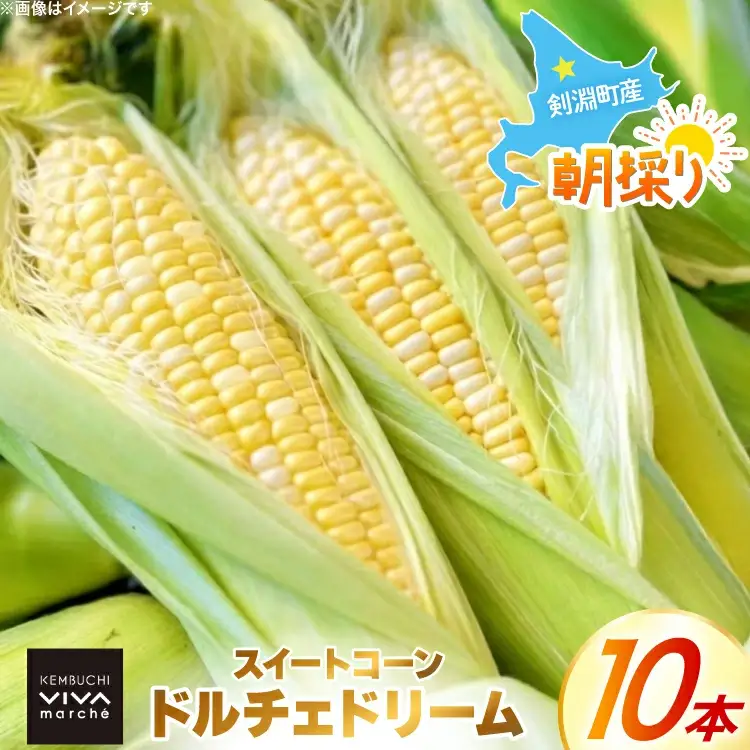 剣淵町産 ドルチェドリーム スイートコーン 10本 [けんぶちVIVAマルシェ 北海道 剣淵町 14656378]