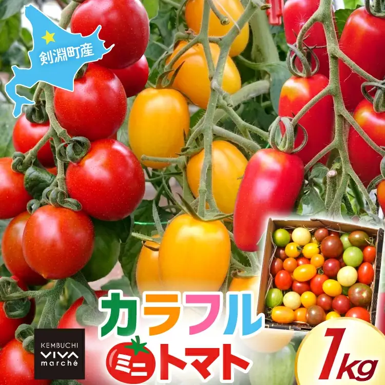 剣淵町産 カラフルミニトマト 1kg [けんぶちVIVAマルシェ 北海道 剣淵町 14656380]