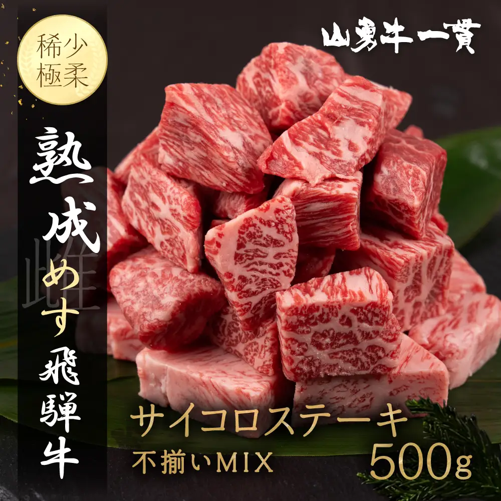 熟成めす飛騨牛 山勇牛  不揃いMIX サイコロ ステーキ 500g（100g×5）飛騨牛 サイコロ ステーキ