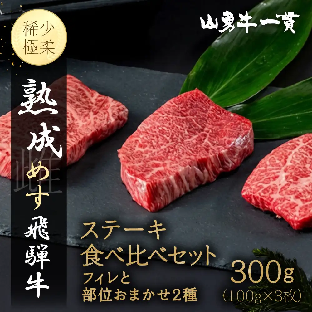 熟成めす 飛騨牛 山勇牛 フィレとおすすめ部位 2種 ステーキ 食べ比べ セット 100g×3 飛騨牛 ステーキ 食べ比べ