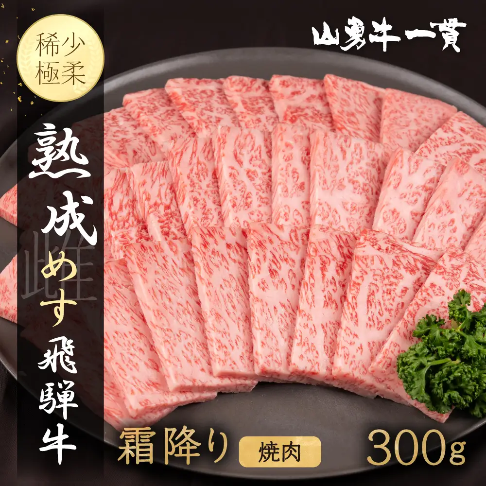 飛騨牛 熟成めす 山勇牛 焼肉 霜降り 300g 飛騨牛 焼肉 霜降り