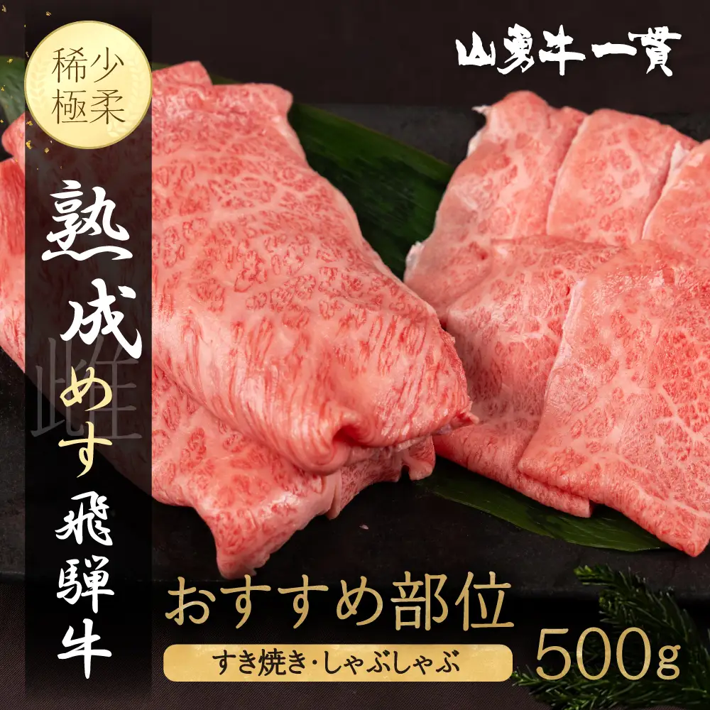 熟成めす 飛騨牛 山勇牛 おすすめ 部位 すき焼き しゃぶしゃぶ 用 500g 飛騨牛 おすすめ すき焼き