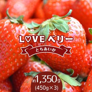 【2027年 先行予約】LOVE ベリー とちあいか 1,350g