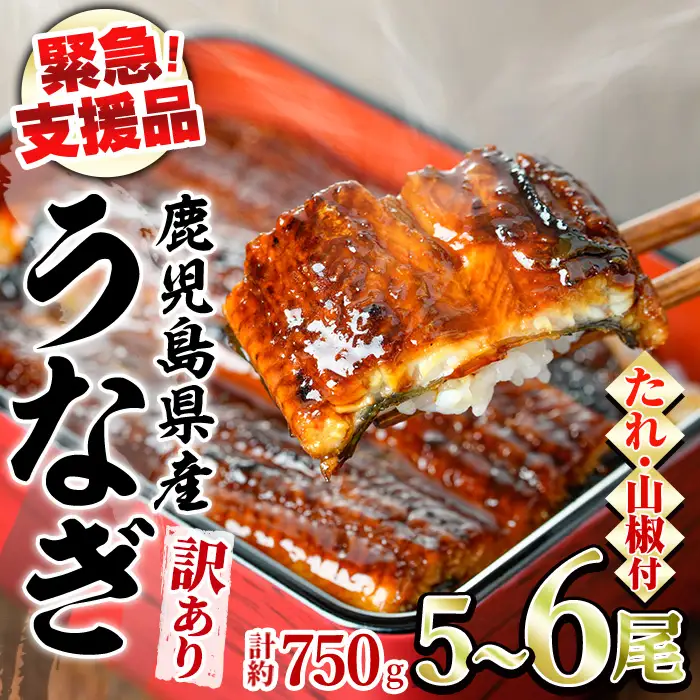 【0184359a】【緊急支援品】＜訳あり＞鰻の蒲焼き(無頭)(5～6尾・計約750g・タレ、山椒付) うなぎ ウナギ 鰻 国産 蒲焼 蒲焼き たれ 鹿児島 ふるさと 人気 支援 【アクアおおすみ】