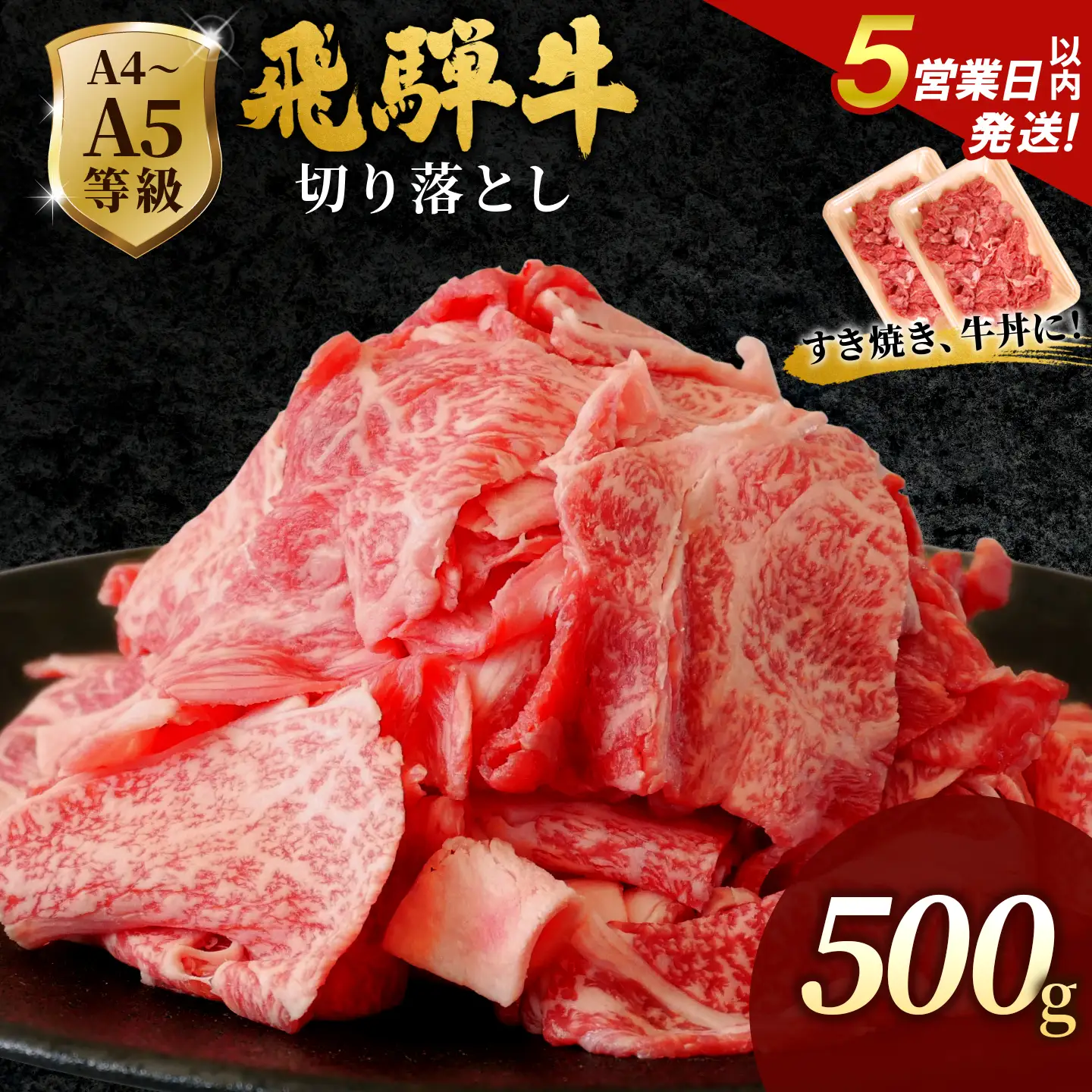 【5営業日以内発送】飛騨牛 切り落とし 500g(250g×2p) すき焼き 牛丼 炒め物 訳あり 肉のひぐち