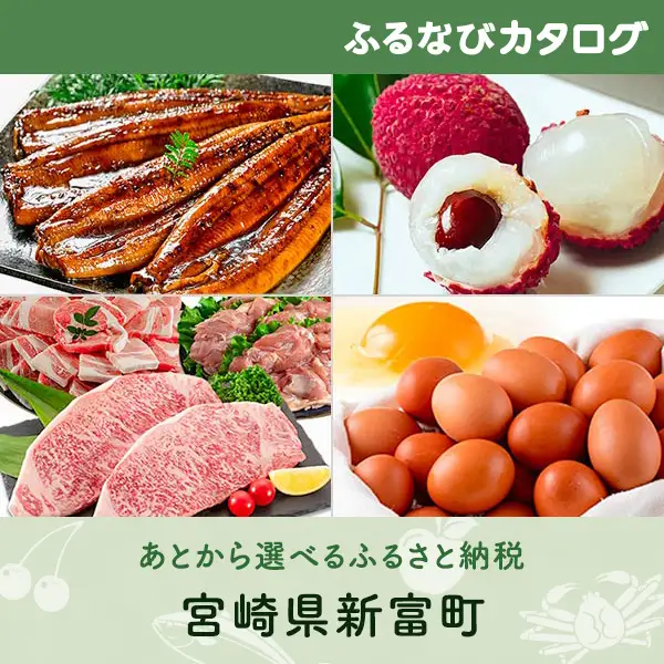 【有効期限なし！後からゆっくり特産品を選べる】宮崎県新富町カタログポイント