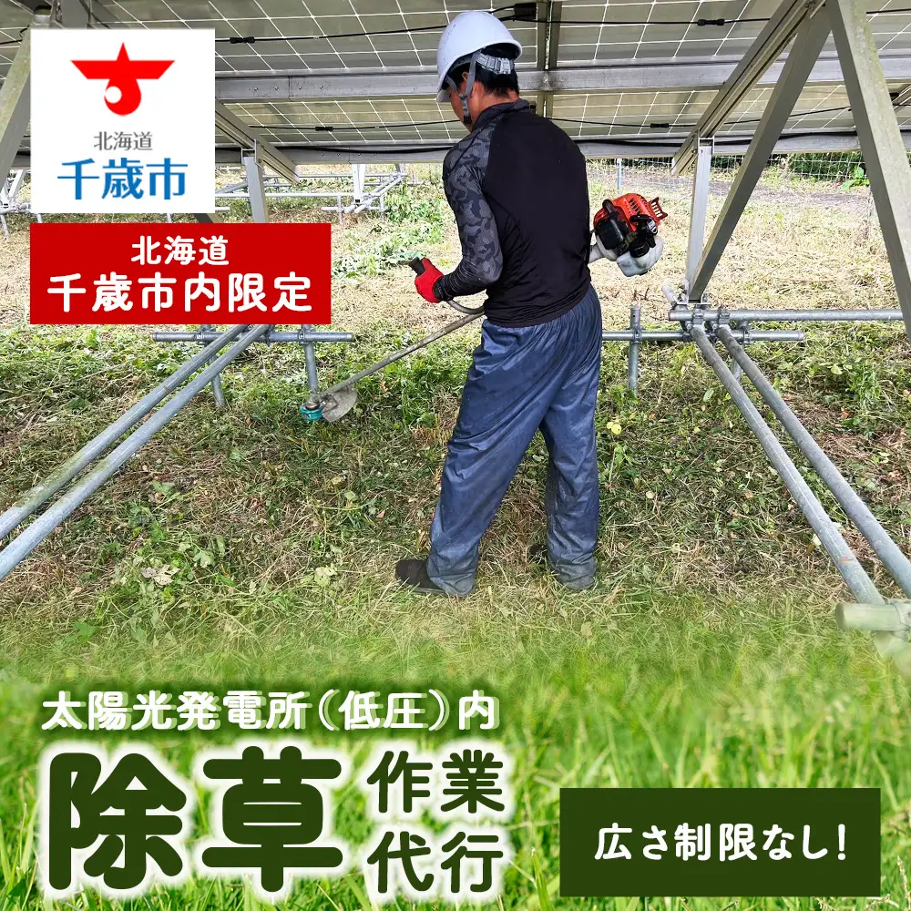 太陽光発電所 除草作業（低圧）