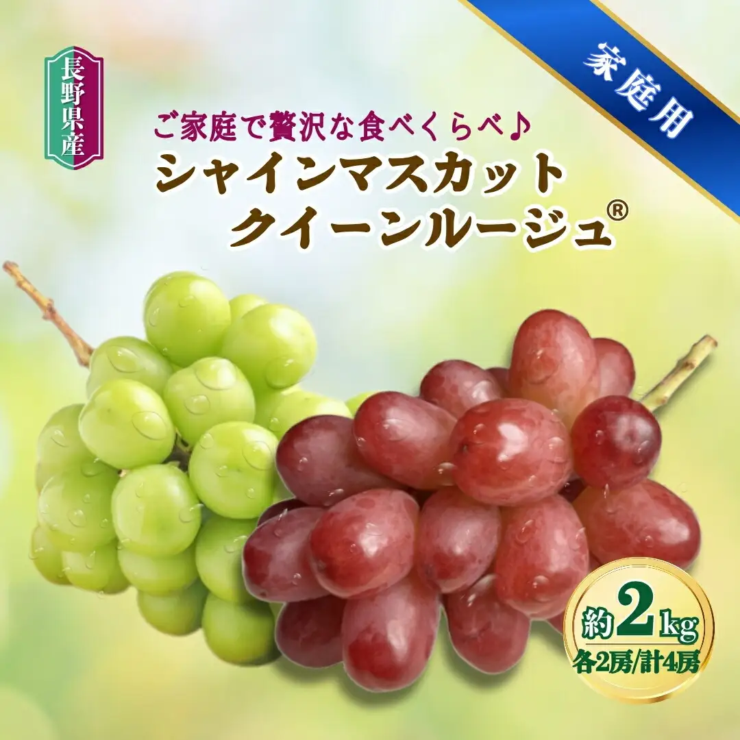 【2026年先行予約】家庭用 シャインマスカット＆クイーンルージュ® 約2kg(3~5房)｜ シャインマスカット