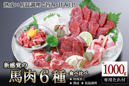 【阿蘇牧場】厳選 馬肉 盛り合わせ 6種 1000g 1kg 赤身 フタエゴ ハツ サガリ ユッケ コウネ 特許製法 氷温熟成 低温調理 レア 小分け 焼くだけ簡単 専用醤油 タレ付 真空パック 熊本 小国町 最大3ヶ月以内出荷