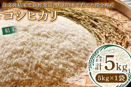 【数量限定】大山の水で育てた関金町産 コシヒカリ 5kg