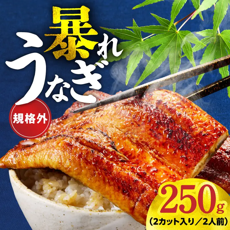 【規格外】うなぎ 暴れ盛り 250g（2カット）