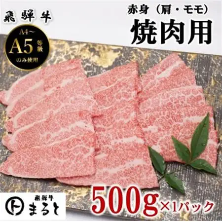 【飛騨牛】赤身　焼肉用　500g入り【配送不可地域：離島】【1726919】