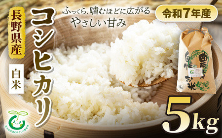 コシヒカリ 特別栽培米 白米 5kg | そば処こうや