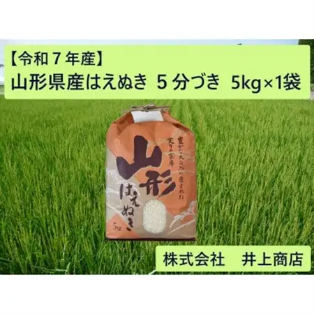 令和7年産山形県産はえぬき　5分づき5kg×1袋【1728612】