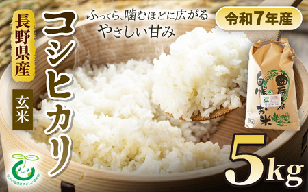 コシヒカリ 特別栽培米 玄米 5kg | そば処こうや