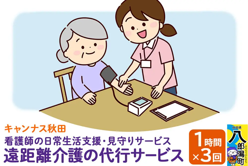 支援 看護師の日常生活支援・見守りサービス　遠距離介護の代行サービス 1時間 3回 レターパックライトでお届け 八郎潟