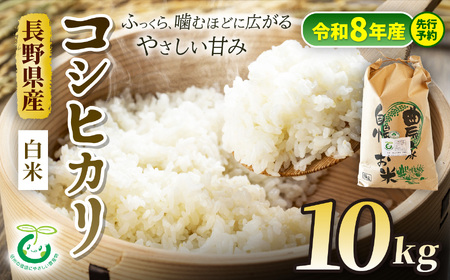 【令和8年産先行予約】コシヒカリ 特別栽培米 白米 10kg | そば処こうや