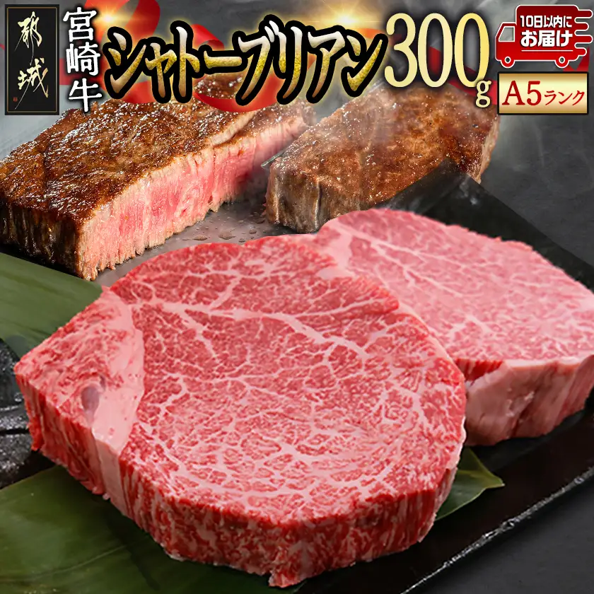 宮崎牛シャトーブリアン(A5)150g×2枚≪真空≫≪みやこんじょ特急便≫〔AF-01-001-Q〕