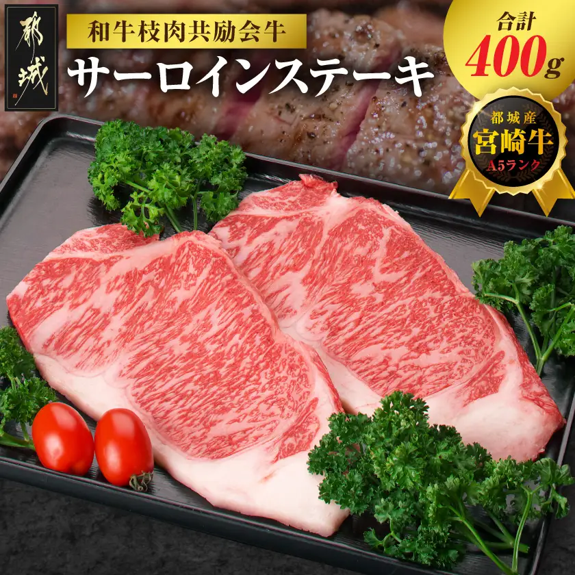 【和牛枝肉共励会牛】(A5)宮崎牛サーロインステーキ200g×2〔AD-25-001〕(都城市) 宮崎県 宮崎牛 サーロイン ロース ステーキ 真空 品評会出展牛 特別セット