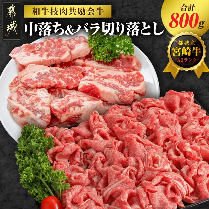 【和牛枝肉共励会牛】(A5)宮崎牛中落ち&バラ切り落としセット_17-25-006_(都城市) 宮崎県 宮崎牛 中落ち バラ 煮込み おでん 焼肉 すき焼き 牛丼 品評会出展牛 特別セット