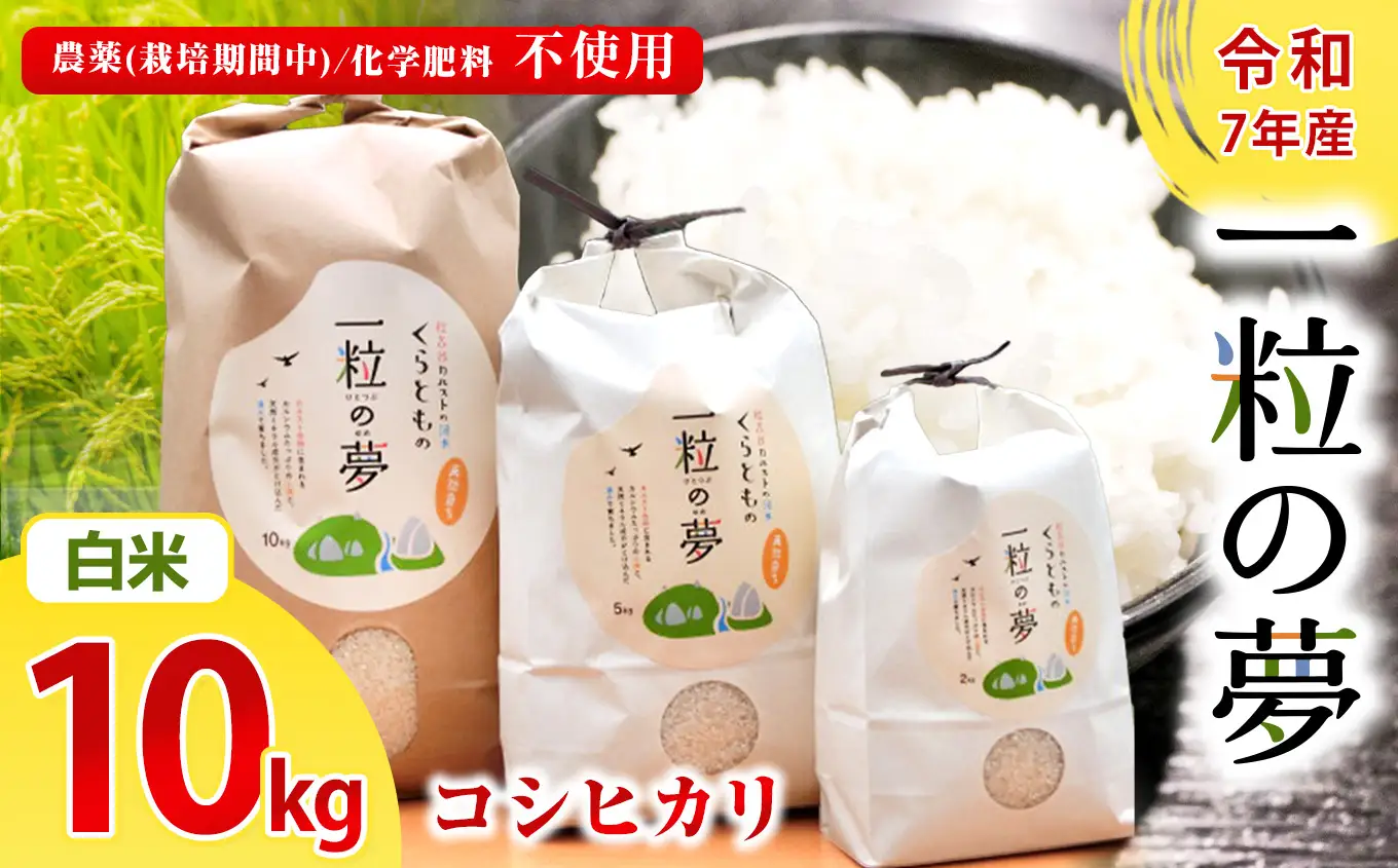 白米 コシヒカリ 10kg 農薬 ( 栽培期間中不使用 )・ 化学肥料不使用 令和7年産 米