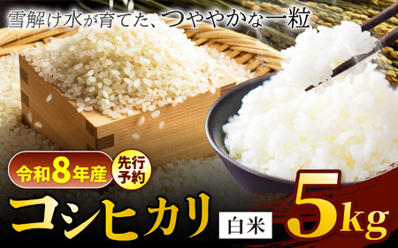【令和8年産先行予約】『松川村認定農業者』コシヒカリ 白米 5kg  | 叶屋