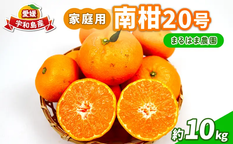 家庭用 南柑20号 約10kg まるはま農園 甘い 美味しい 先行予約 温州 みかん うんしゅう 温州みかん 愛媛ミカン 愛媛蜜柑 みかん 蜜柑 mikan 果物 くだもの フルーツ 柑橘 数量限定 産地直送 国産 愛媛 宇和島 B015-202001