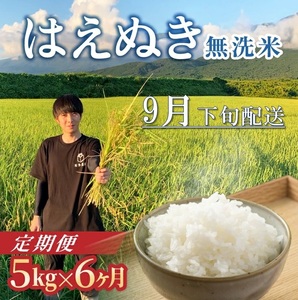 SG0121　9月下旬発送開始／【6回定期便】令和8年産 ［無洗米］はえぬき　5kg×6回(計30kg) 農家直送 HO