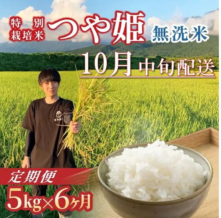 SH0070　10月中旬発送開始／【6回定期便】令和8年産 ［無洗米］つや姫　5kg×6回(計30kg) 農家直送 HO