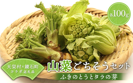 〈先行予約〉天栄村×鏡石町コラボ返礼品 山菜ごちそうセット ふきのとうとタラの芽（各100g） 山菜 野菜 食品 フキノトウ たらのめ 福島県 天栄村 鏡石町 F21T-487