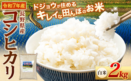 『どじょうのいる田んぼのお米』コシヒカリ 白米 2kg | 馬場農園