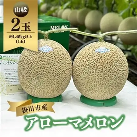 静岡温室マスクメロン アローマ印　　　　　山級約1.45kg以上　2玉【配送不可地域：離島・北海道・沖縄県】【1502265】