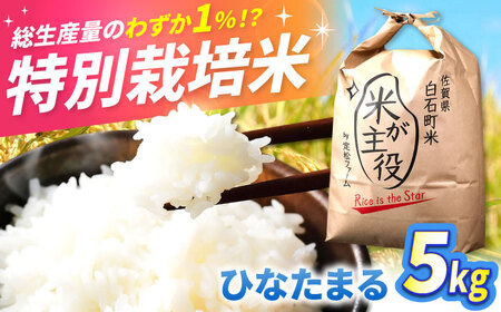 先行予約 令和8年産 米 ひなたまる 5kg 【定松ファーム】[IBV009]