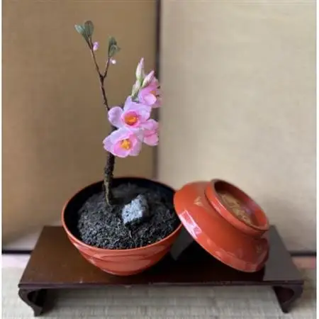 【春 桜】四季を彩る創作草もの盆栽(工芸品)～工房 椿【配送不可地域：離島・北海道・沖縄県】【1598557】