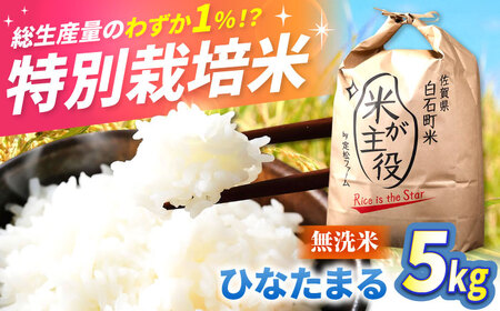 先行予約 令和8年産 無洗米 ひなたまる 5kg【定松ファーム】[IBV010]