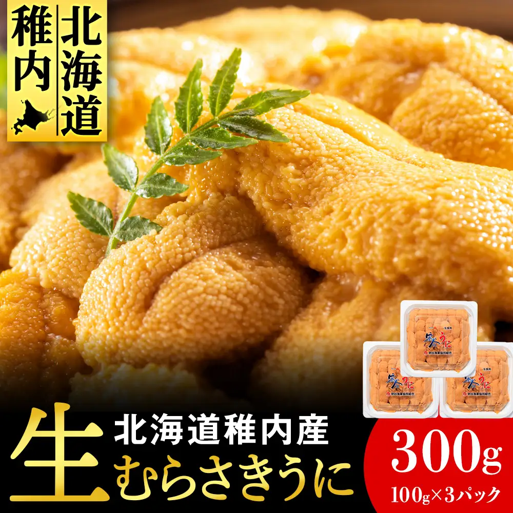 【期間限定】稚内の厳選ムラサキウニ 生パック 獲れたて即日発送! 100g×3パック