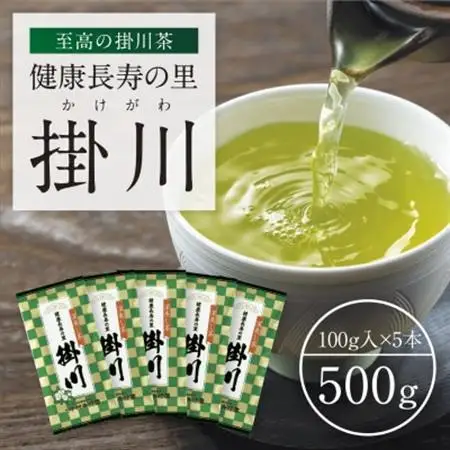 特上深蒸し掛川茶「健康長寿の里 掛川」100g×5本セット【配送不可地域：離島・沖縄県】【1650540】
