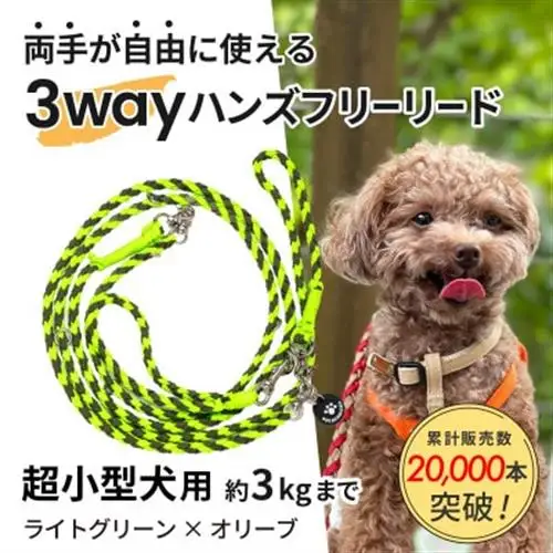 【犬用リード】3WAYハンズフリーリード(超小型犬用)ライトグリーン×オリーブ【ゴールデンママ】【配送不可地域：離島・沖縄県】【1663366】