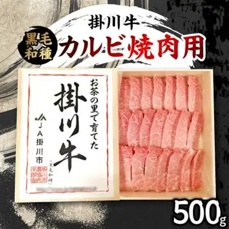 掛川牛(黒毛和種)カルビ焼肉用 500g(冷凍)【配送不可地域：離島・北海道・沖縄県・四国・九州】【1670601】