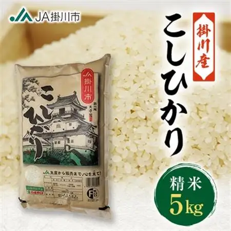 掛川産こしひかり 精米 5kg【配送不可地域：離島・沖縄県】【1692663】