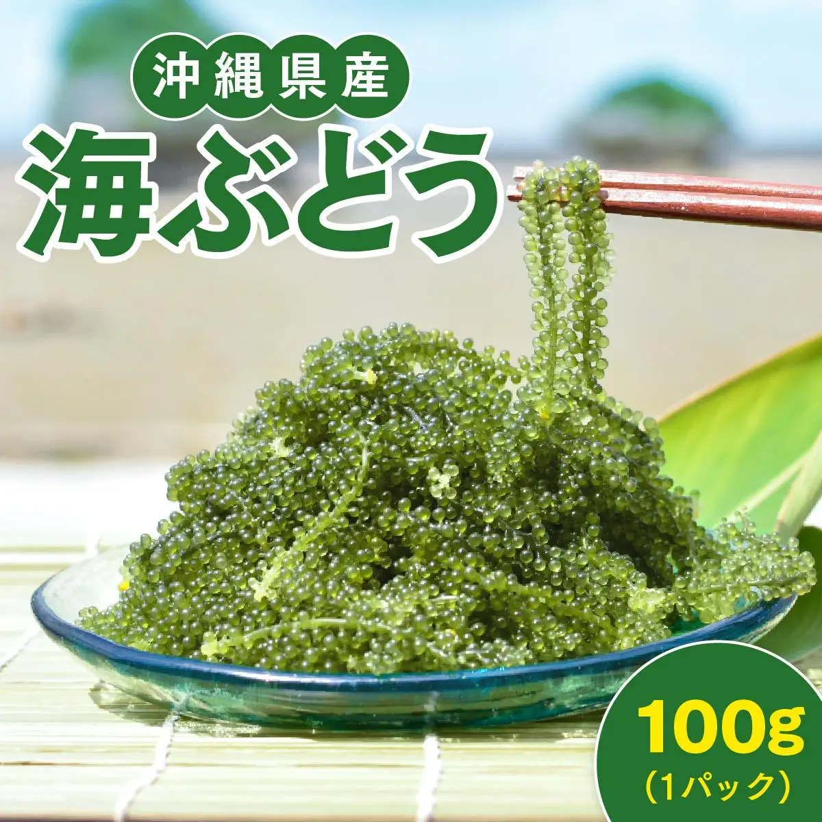 海ぶどう　100g（ご自宅用）