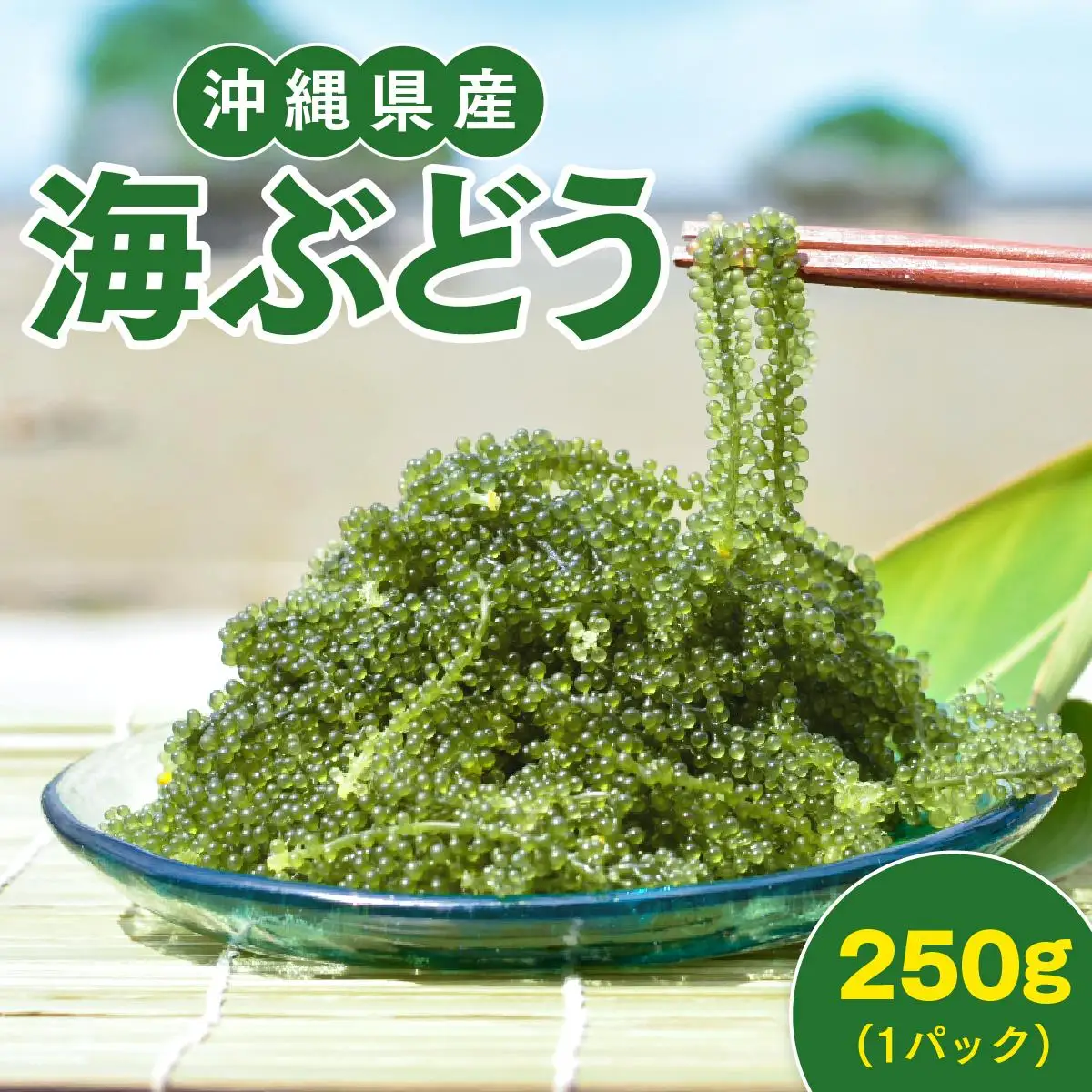 海ぶどう　250g× 1 パック（ご自宅用）