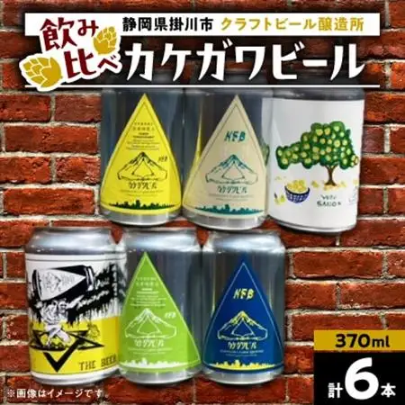 カケガワビール6本セット【配送不可地域：離島・北海道・沖縄県・四国・九州】【1697588】